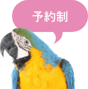 https://www.pet-kazoku-clinic.net/content/themes/main/asset/img/clinic/pic_parakeet_sp.png