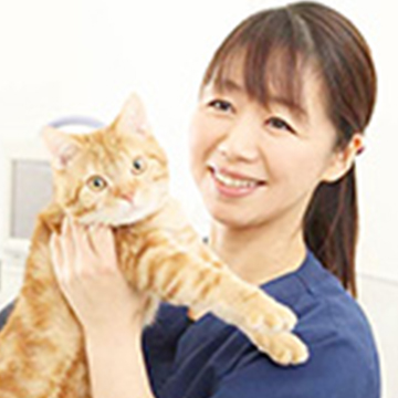 秀嶋 綾