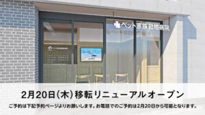 ペット家族動物病院 成城店