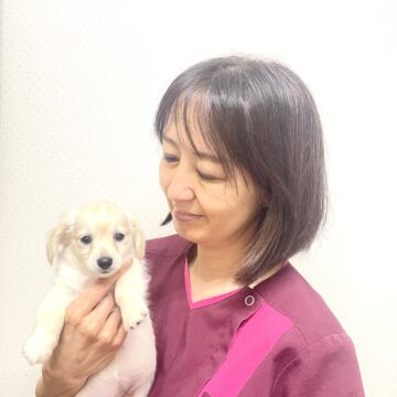 越川 成美